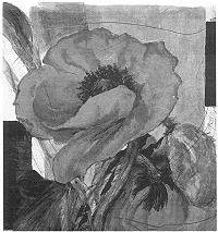 Gerda Nietzer